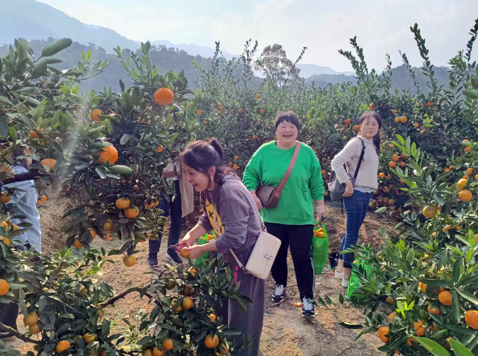 九江長運(yùn):客運(yùn)中心公司開展戶外拓展團(tuán)建活動(dòng)